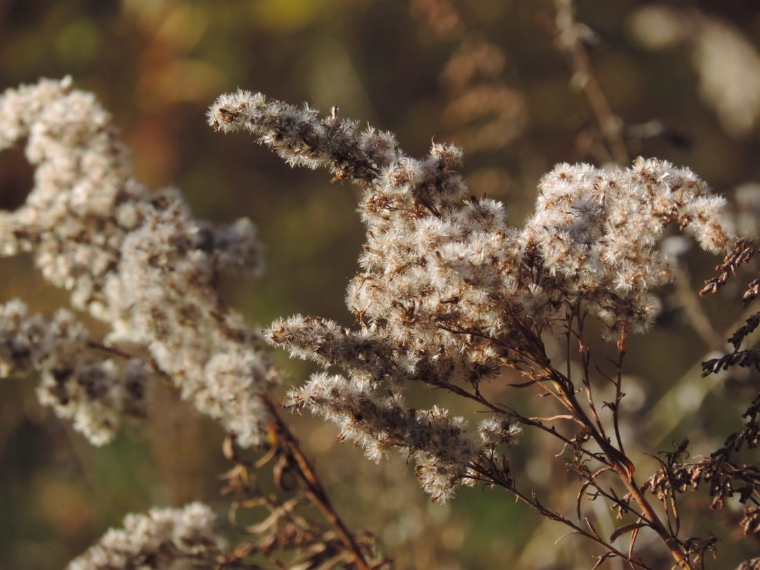 Fall Hope News, Sports, Jobs Post Journal